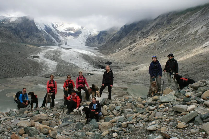 Walkers and their dogs in the high mountains on a DogWalkTrail outing